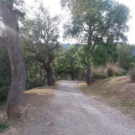 Il Melo Cotogno 3* ريو مارينا